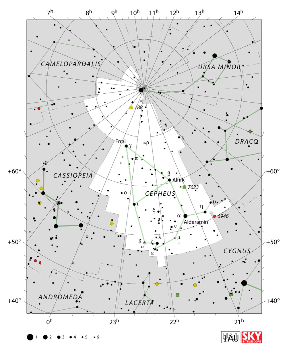 IAU Chart of Cepheus