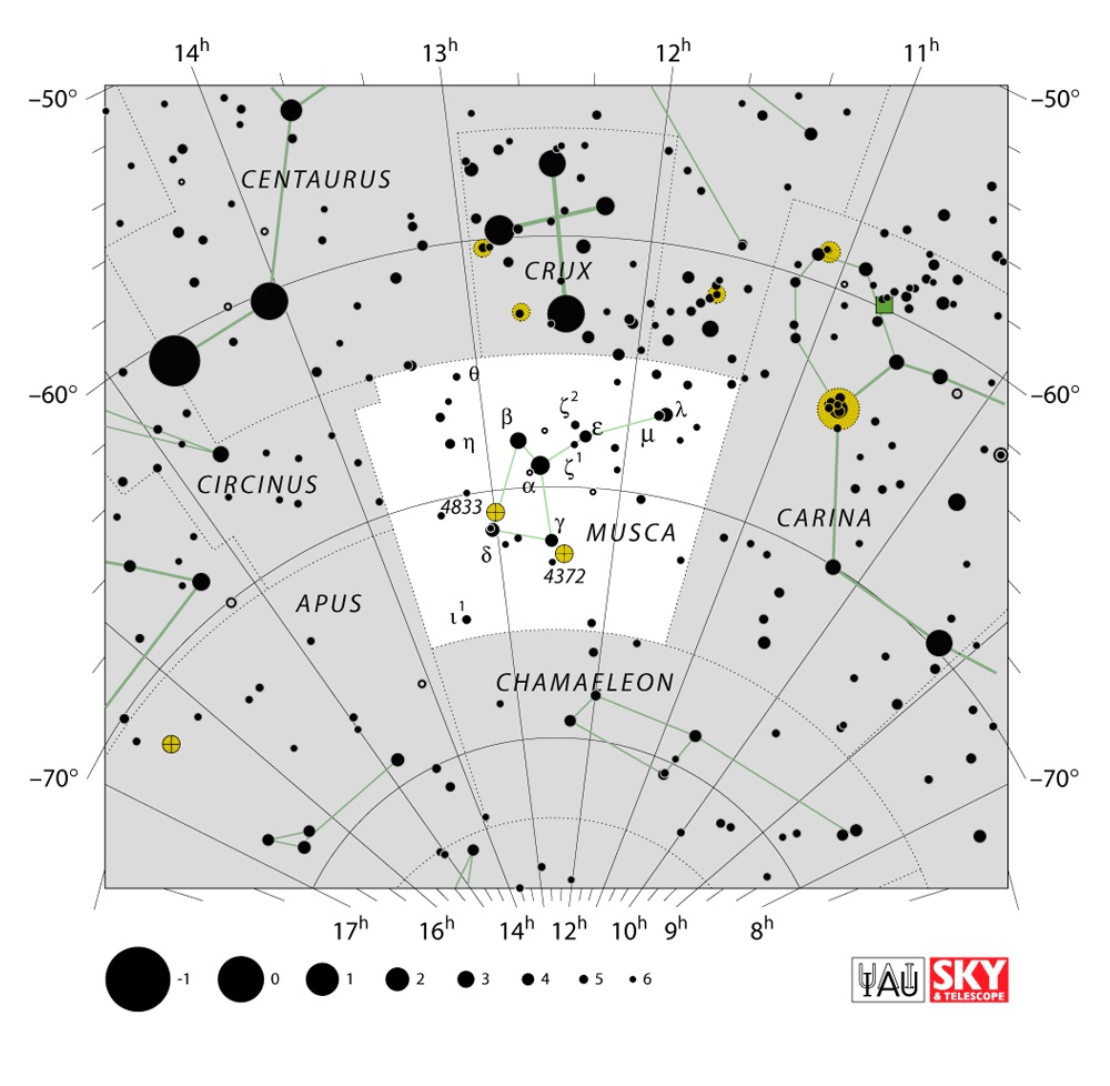 IAU Chart of Musca