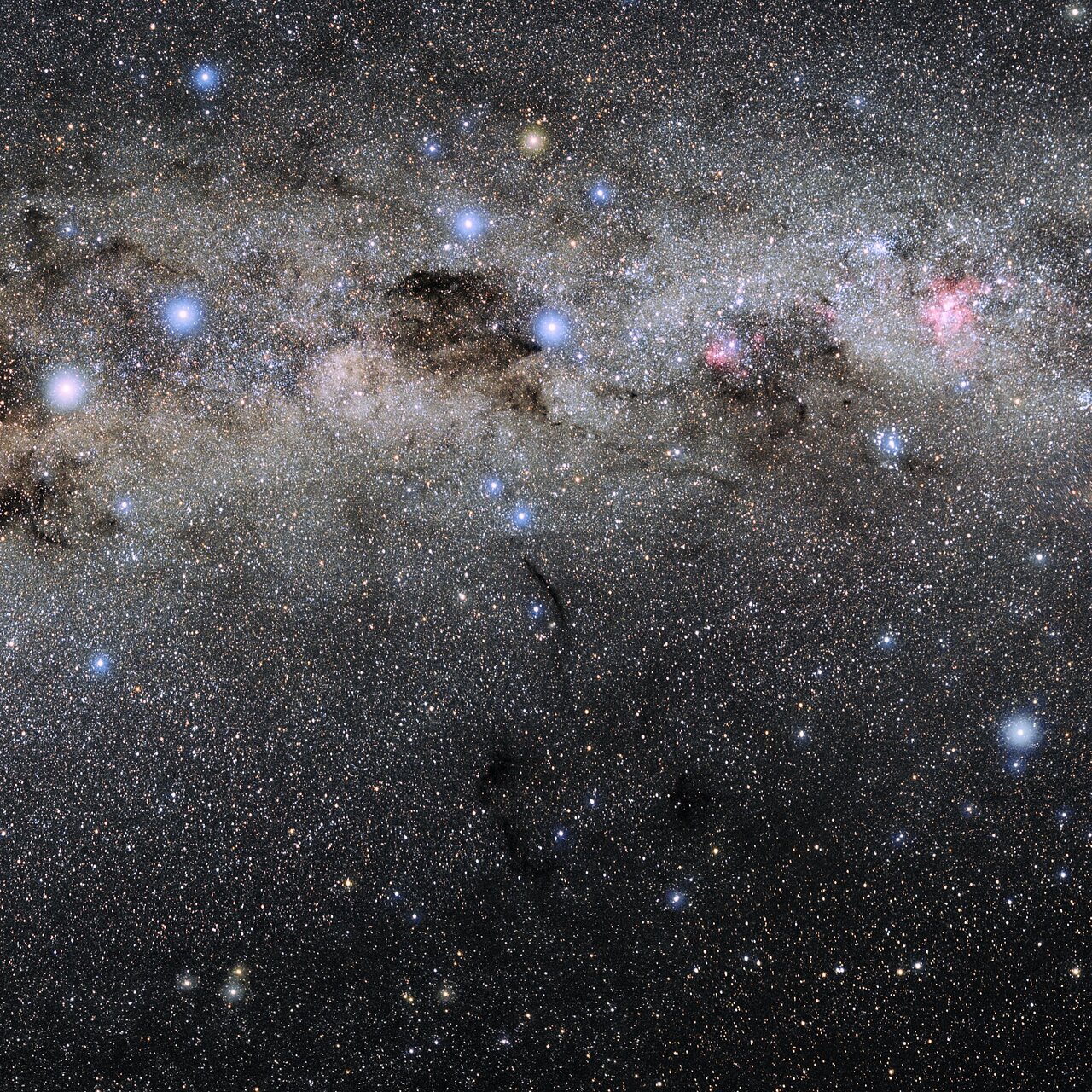 NOIRLab Images of Musca