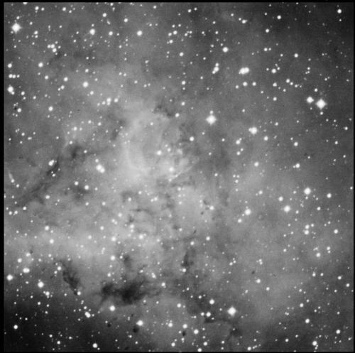 Rosette nebula nw corner