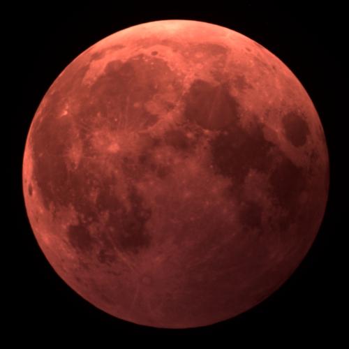 Full- Blood Moon - Tom Traub