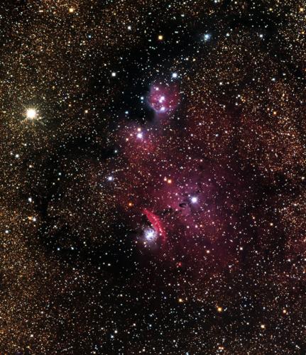 NGC 6559 by Ted Wolfe