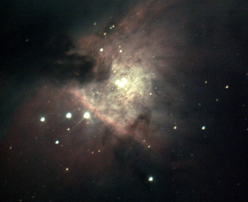 Orion Nebula Trapezium - Tom Traub - 2020