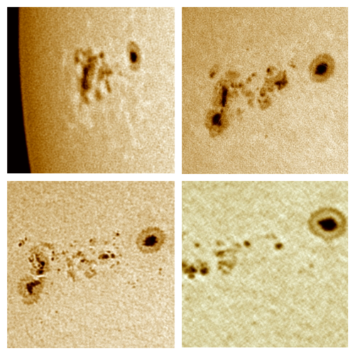 Sunspot complex - Nov 04-06-07-09 2020 by Traub