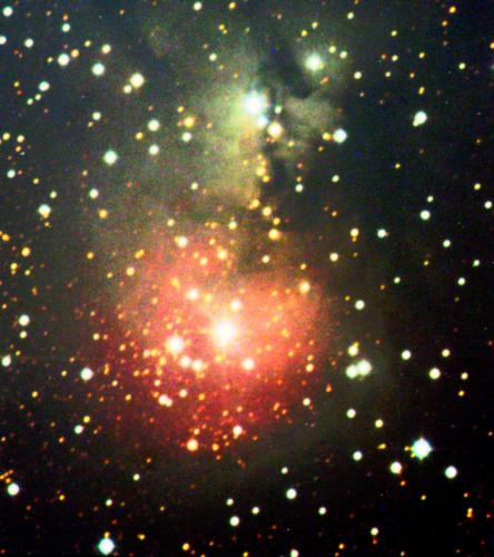 little cocoon-LRGB preprocess indivi2