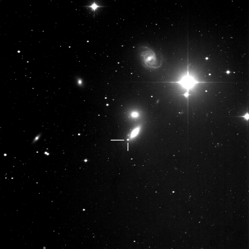 NGC5353 with supernova 2019EIN